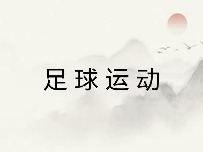 足球运动