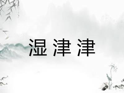 湿津津