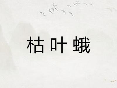 枯叶蛾