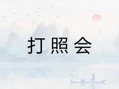 打照会