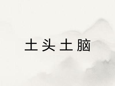 土头土脑