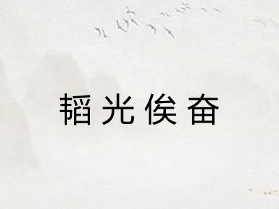 韬光俟奋