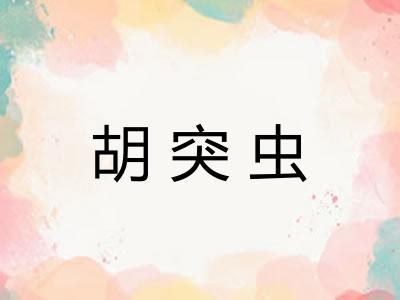 胡突虫