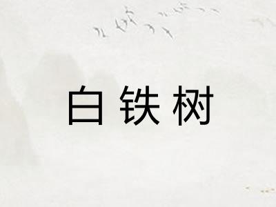 白铁树