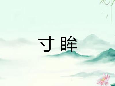 寸眸