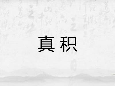 真积