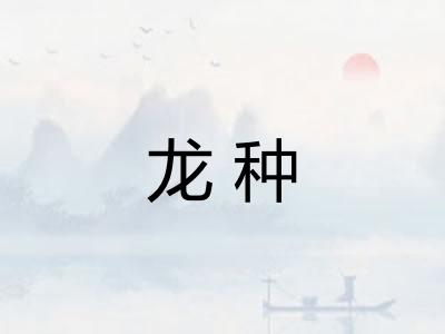 龙种