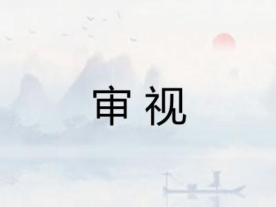 审视