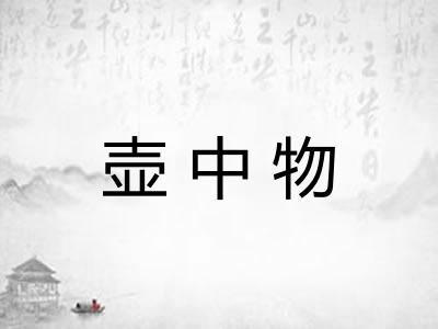 壶中物