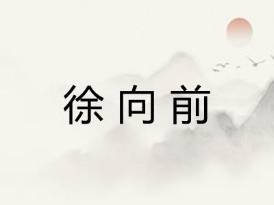 徐向前
