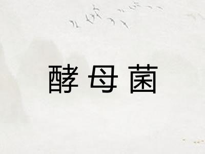 酵母菌