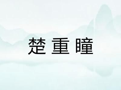 楚重瞳