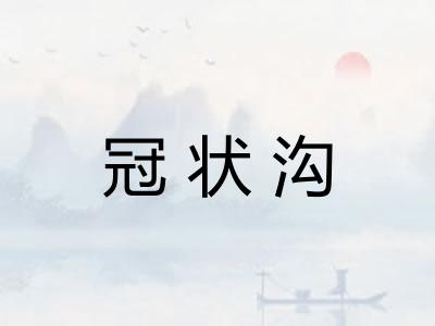 冠状沟