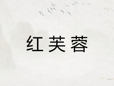 红芙蓉