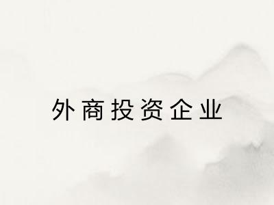 外商投资企业