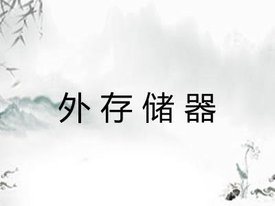 外存储器