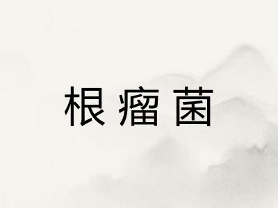 根瘤菌