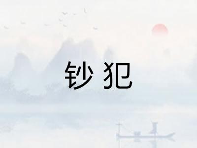 钞犯