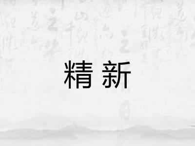 精新