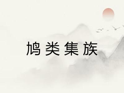 鸠类集族