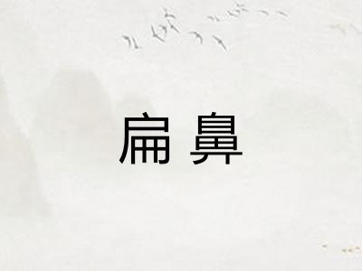 扁鼻