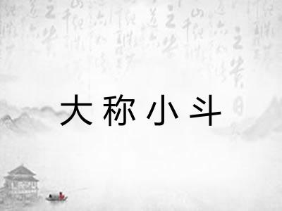 大称小斗