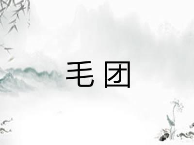 毛团