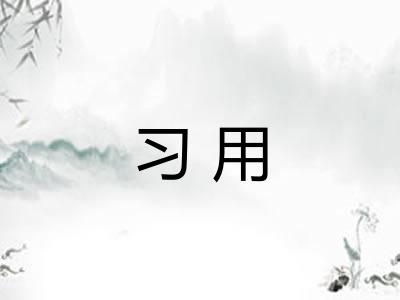 习用