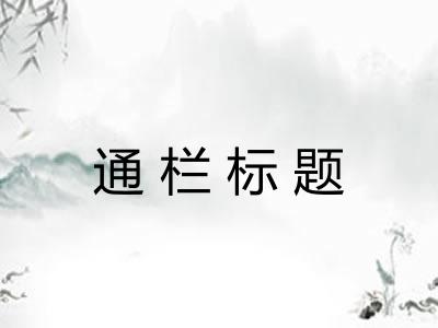 通栏标题