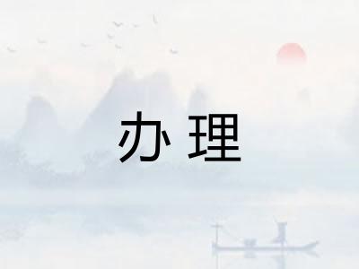 办理