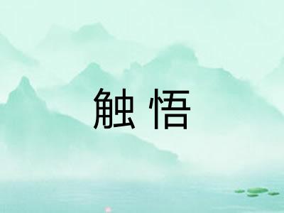 触悟