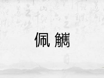 佩觽