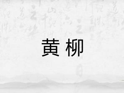 黄柳