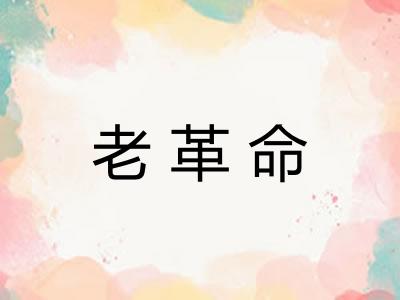 老革命