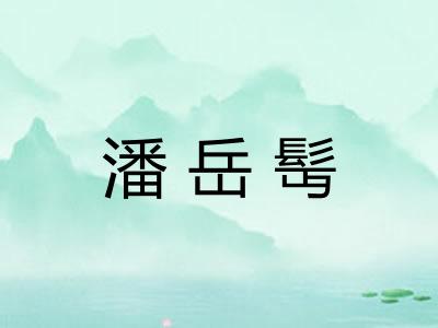 潘岳髩
