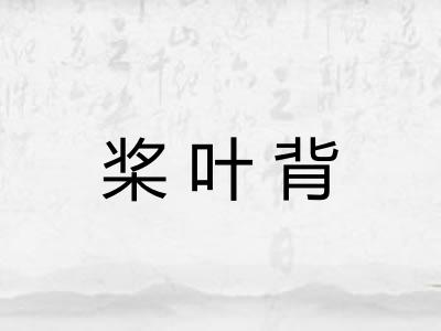 桨叶背