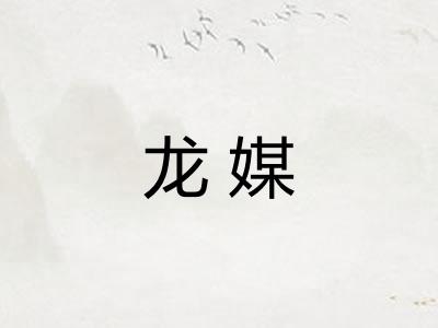 龙媒