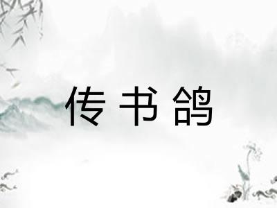 传书鸽