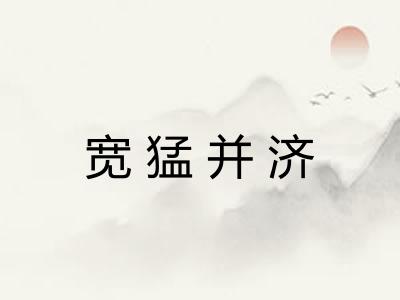 宽猛并济