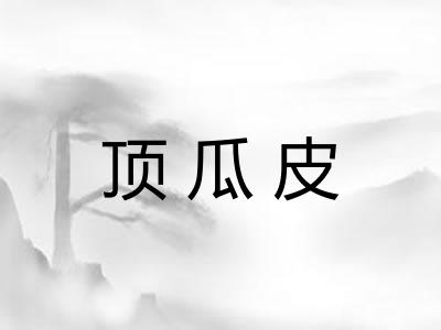 顶瓜皮