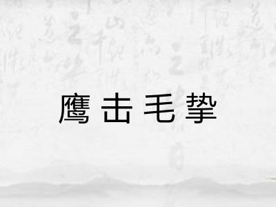 鹰击毛挚