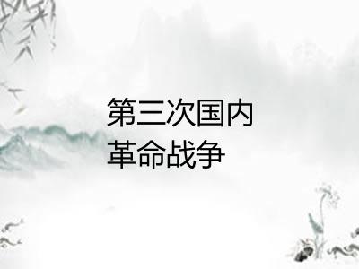 第三次国内革命战争