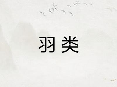 羽类