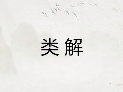 类解