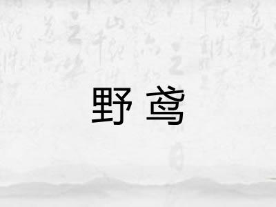 野鸢