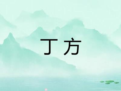 丁方
