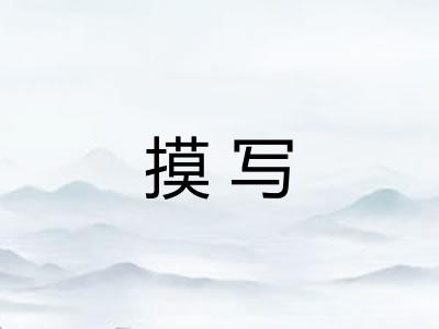 摸写