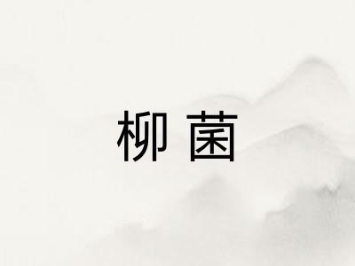 柳菌