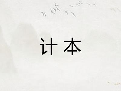 计本
