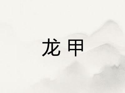 龙甲